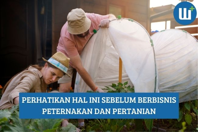 Hal yang Harus Diperhatikan Sebelum Berbisnis Peternakan dan Pertanian